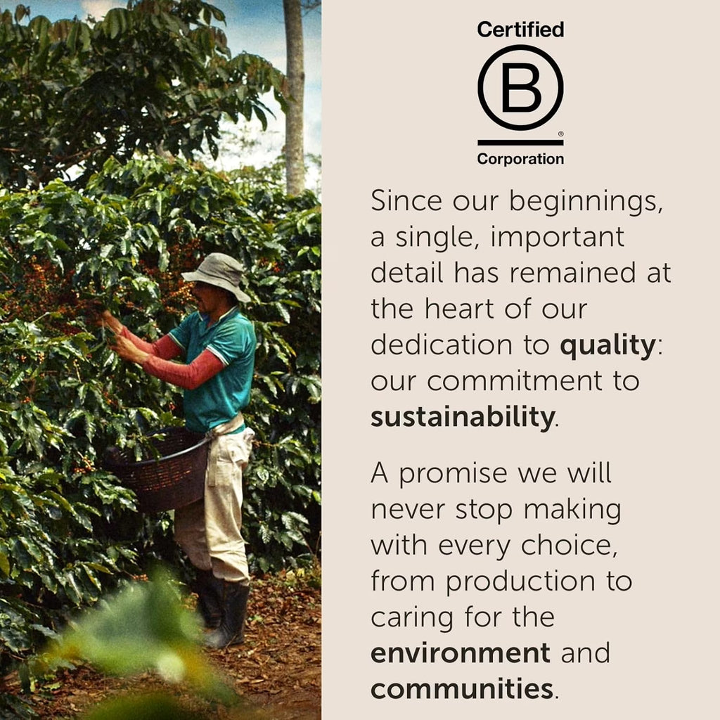 illy Whole Bean Coffee Brasile Cerrado Mineiro – Medium Roast Arabica Selection, 8.8 oz