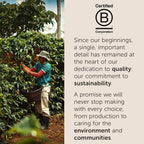 illy Whole Bean Coffee Brasile Cerrado Mineiro – Medium Roast Arabica Selection, 8.8 oz