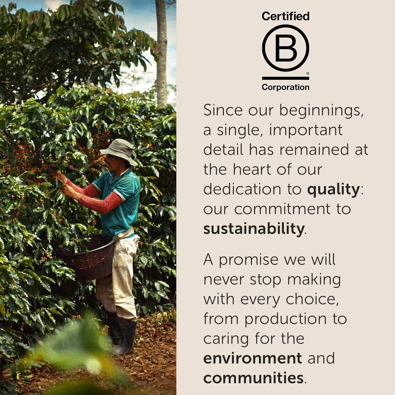 illy Whole Bean Coffee Brasile Cerrado Mineiro – Medium Roast Arabica Selection, 8.8 oz
