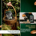 The Bean Organic Coffee Company Water Processed DECAF Chocolate Macadamia Nut Coffee – Medium Roast Ground, 16 oz