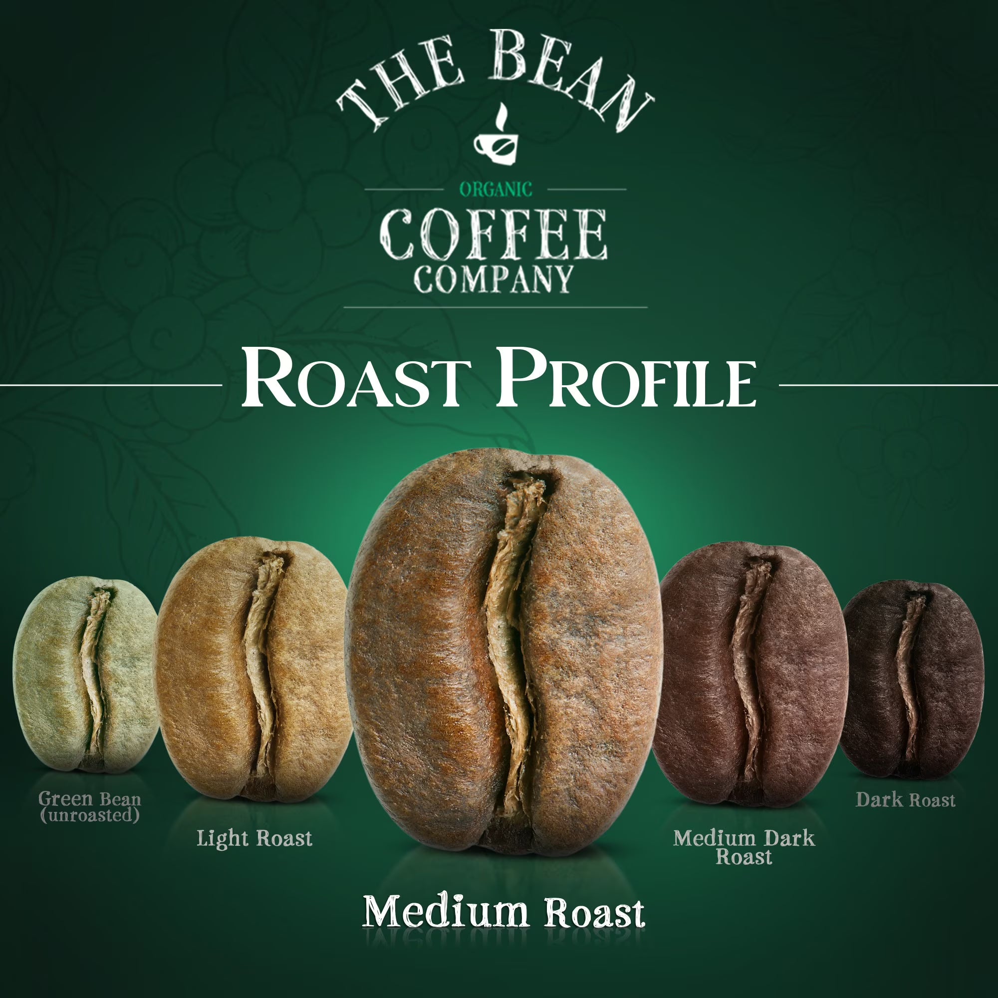 The Bean Organic Coffee Company Water Processed DECAF Chocolate Macadamia Nut Coffee – Medium Roast Ground, 16 oz
