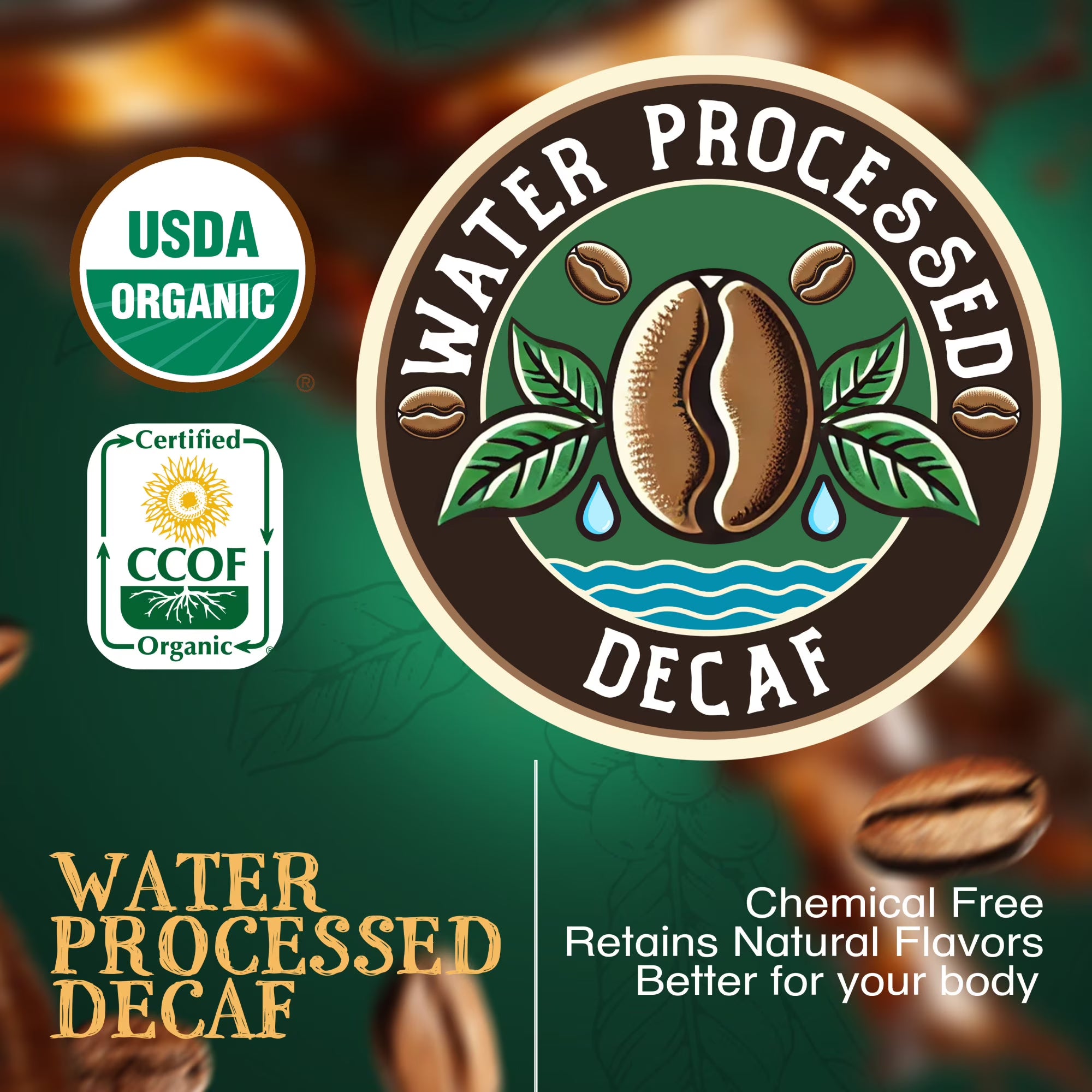 The Bean Organic Coffee Company Water Processed DECAF Chocolate Macadamia Nut Coffee – Medium Roast Ground, 16 oz