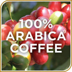 Don Francisco's Premium Vanilla Nut Coffee – Medium Roast Whole Bean, 20 oz