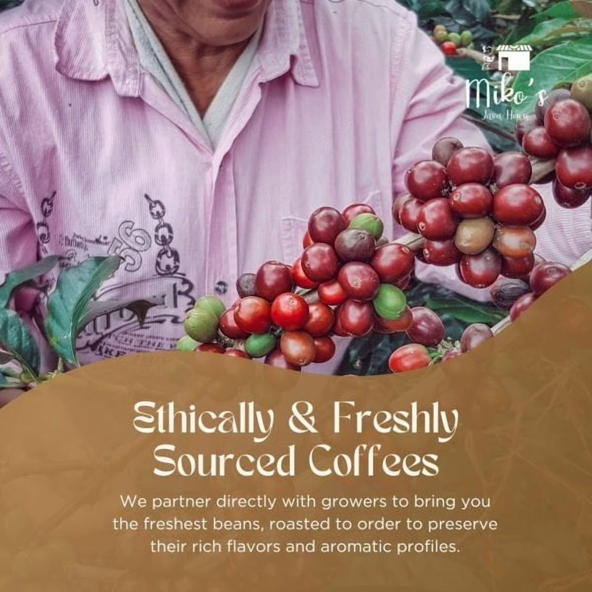 Mikos Java House Guatemalan Antigua Coffee – 100% Arabica Single Origin, Medium Roast Ground, 12 oz
